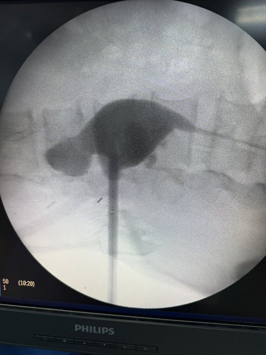 Carlos mtz-arroyo tweet media