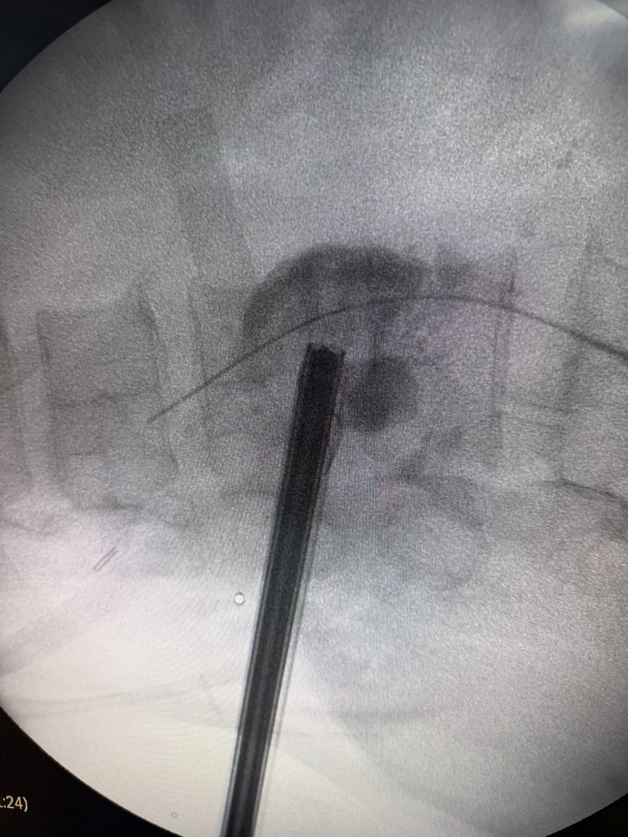 Carlos mtz-arroyo tweet media