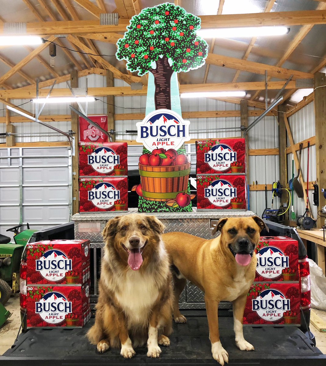 BjSims98's tweet photo. @BuschBeer That’s for sure https://t.co/BGWPvNWbb2