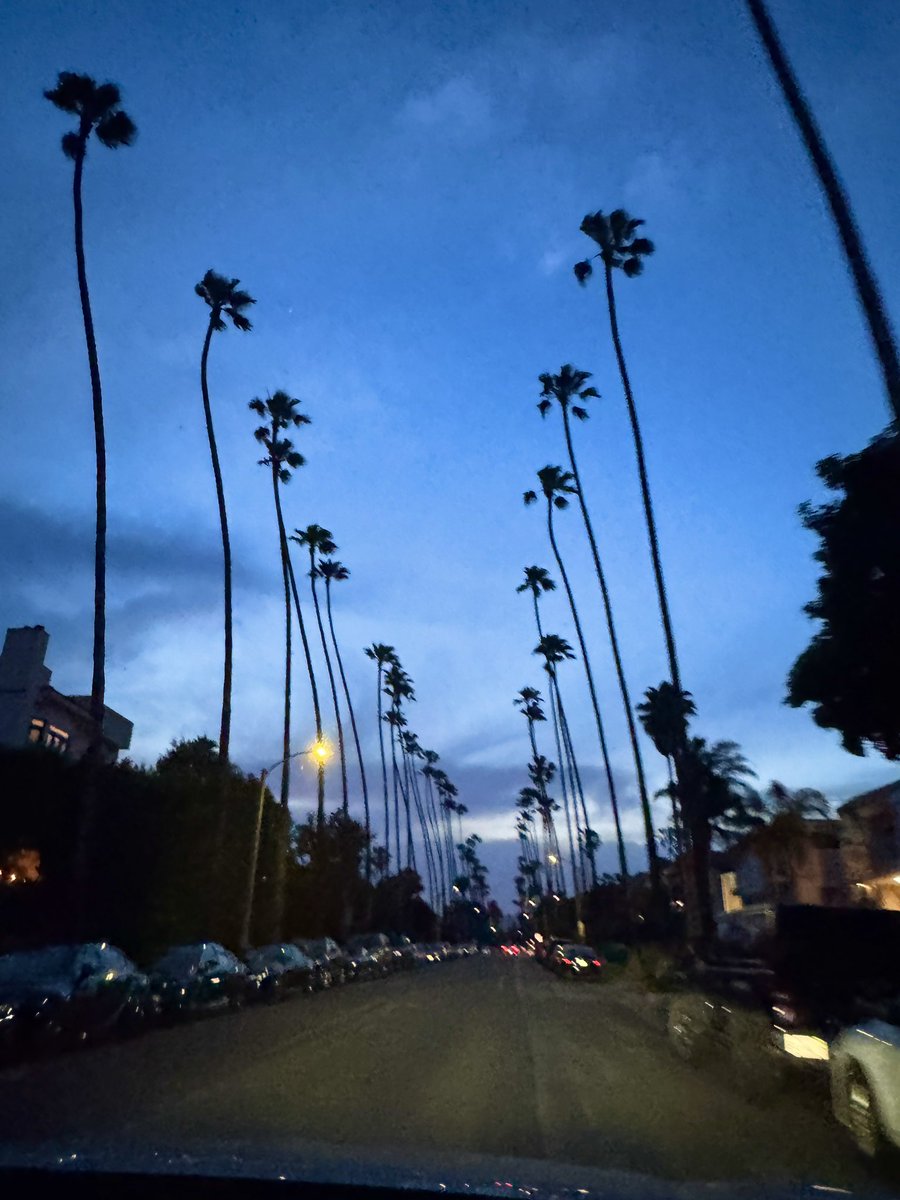 5th Street north of Wilshire Blvd