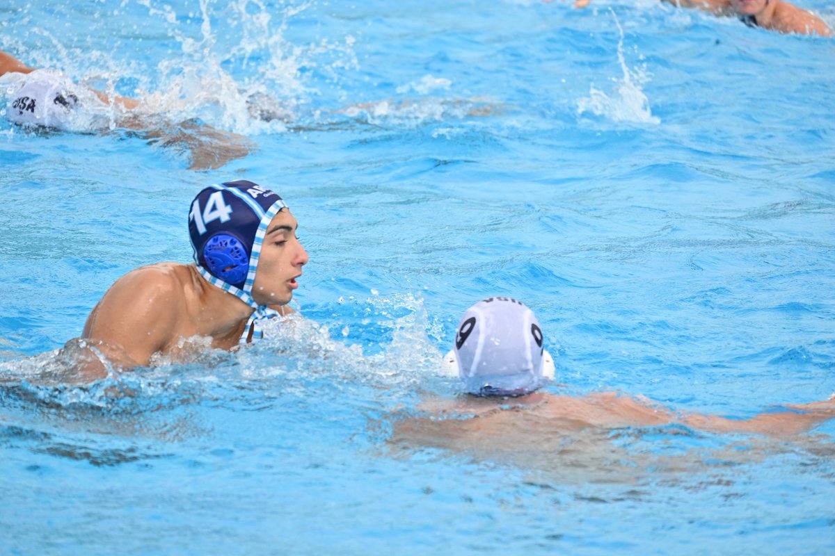 Progre WP tweet media