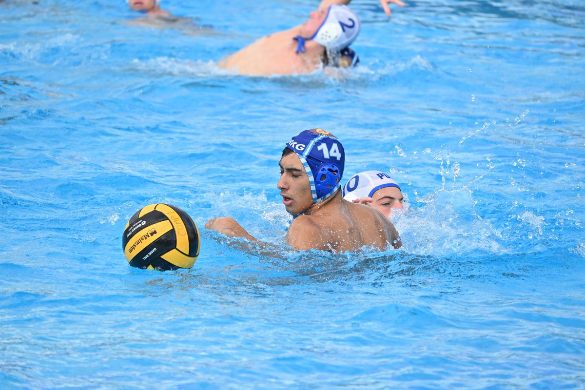 Progre WP tweet media