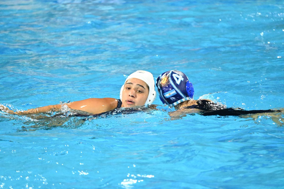 Progre WP tweet media