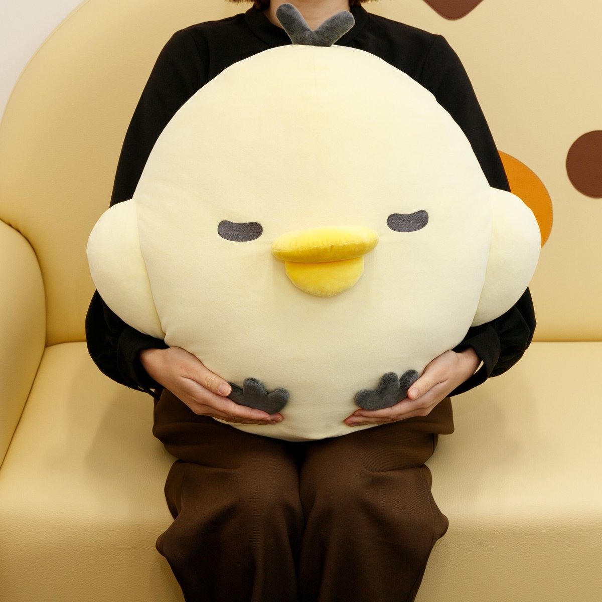 あす5/25(日)受注しめきり🐥🌼 ＼ サンエックスネットショップ限定