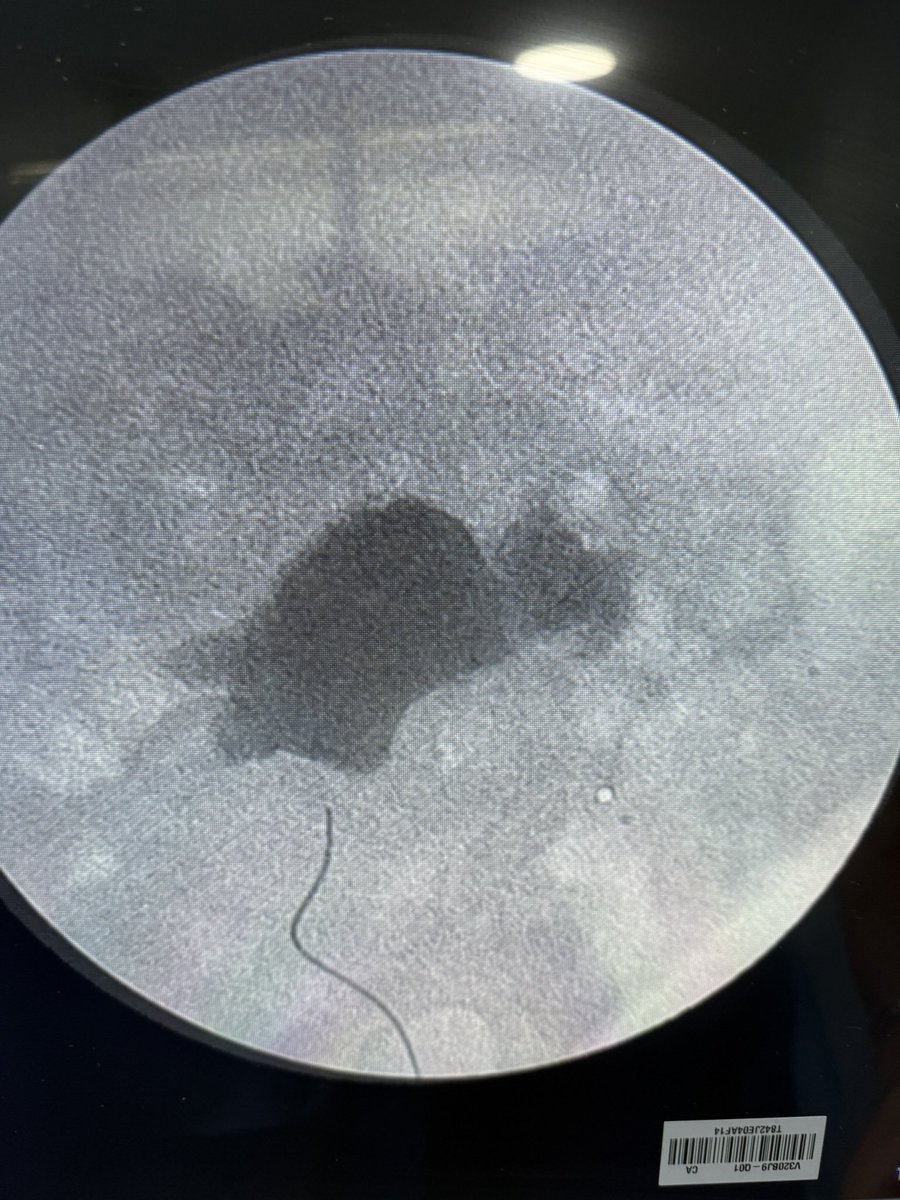 Carlos mtz-arroyo tweet media