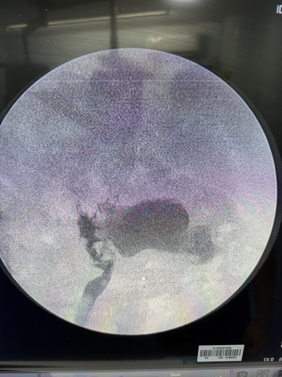 Carlos mtz-arroyo tweet media