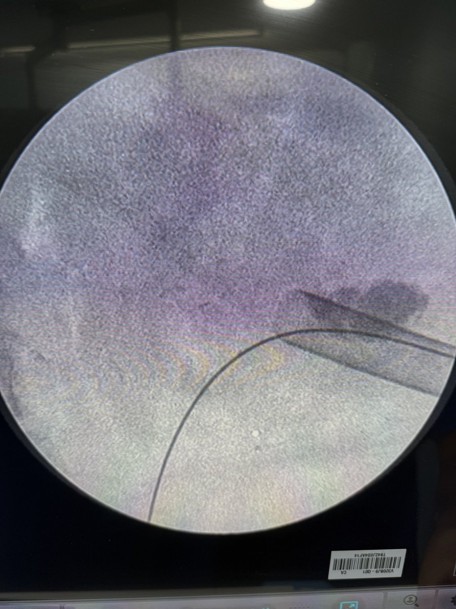 Carlos mtz-arroyo tweet media