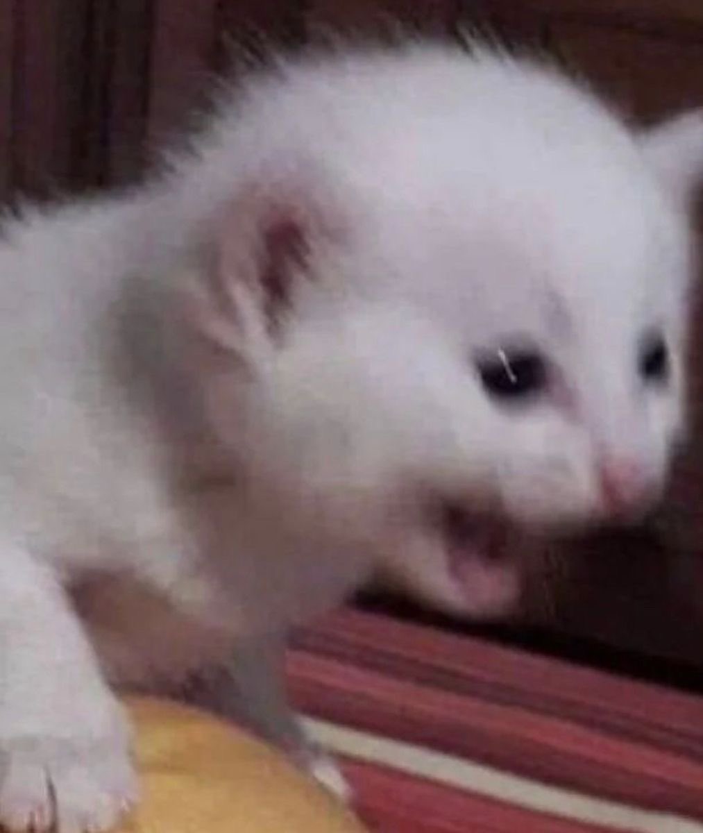away for the weekend and all I can think about is ranking up in league :c