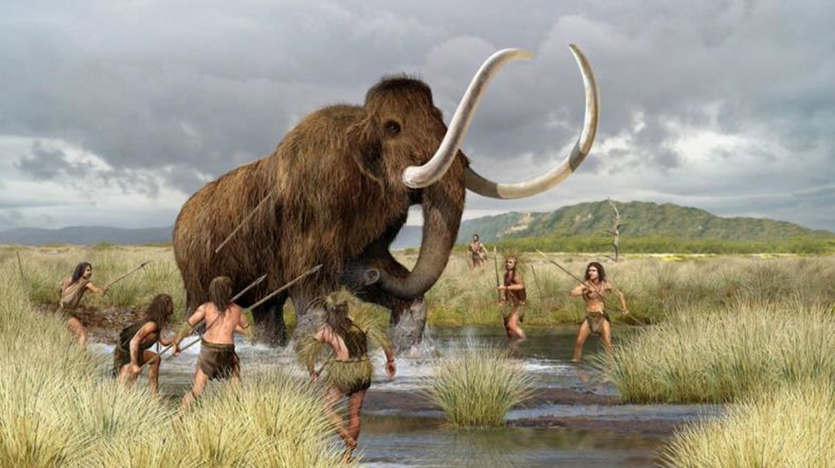 Mammoths on the Menu and Odonates - mailchi.mp/bf8ade4914bd/m…