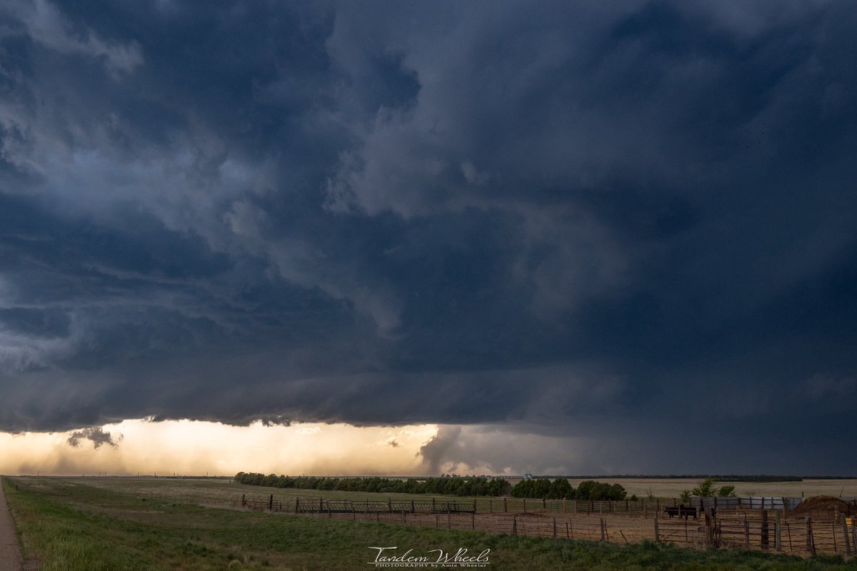 Amie Wheeler (@mimiritz244) on Twitter photo Check out the incredible Akron, CO tornado 🌪️ from this evening! We captured so many amazing pictures, and I'm thrilled to finally share a few of the best ones!
#cowx #tornado #Akron <a href="/wheeler244/">Wheels (Sean)</a> Check out the incredible Akron, CO tornado 🌪️ from this evening! We captured so many amazing pictures, and I'm thrilled to finally share a few of the best ones!
#cowx #tornado #Akron <a href="/wheeler244/">Wheels (Sean)</a>