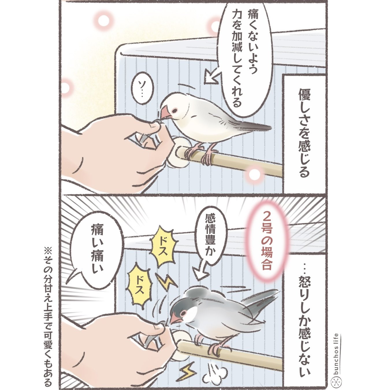 こむぎちゃん専用