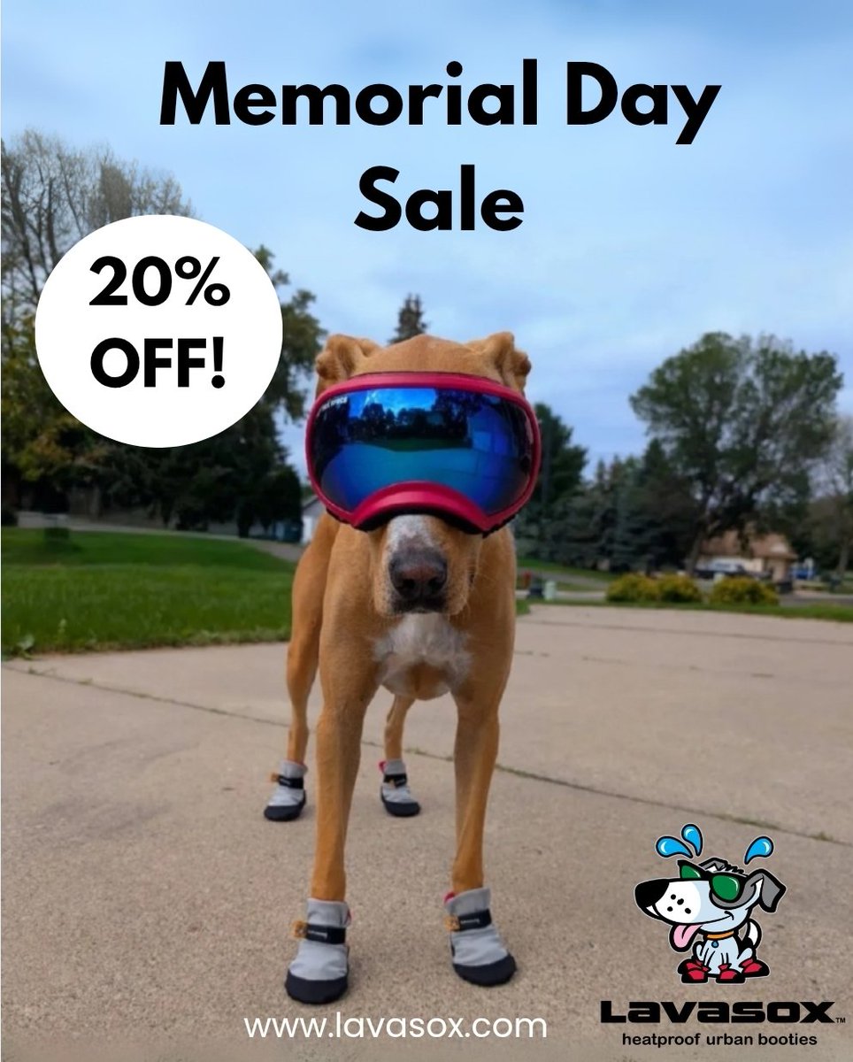 Saltsox's tweet photo. Take advantage of Memorial Day savings! 20% off all sets! Discount automatically applied at checkout. Sale ends 5/26/25.

Applies to all sets in stock! 20% off applied to your checkout total. Free shipping!

@zara_go_woo #memorialday #memorialdaysale #memorialdayweekend #sale https://t.co/eeOaCp0Wt2