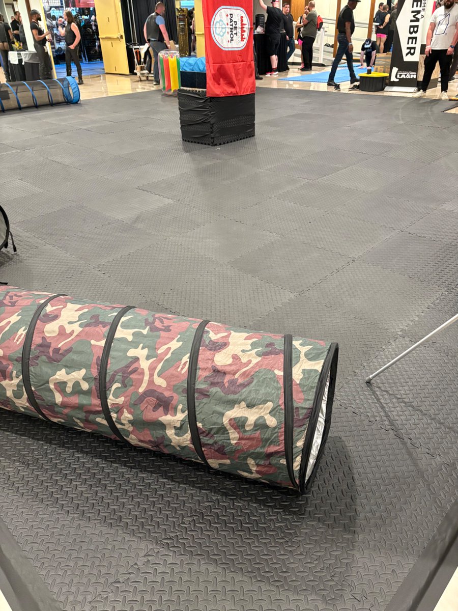 Still at the Congress? Come check out Unleashed! The annual pet, critter, and handler party in Rendezvous, starting in 10 minutes! #IML2025 #IML #IML47