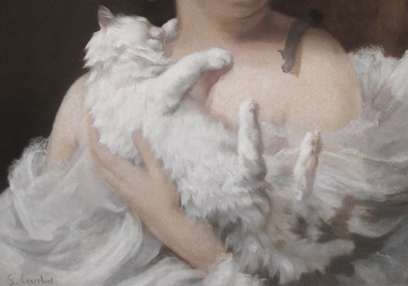 glirttery's tweet photo. details of woman with a cat by gustave courbet (1819-1877, french) https://t.co/Lf86Guqyxr