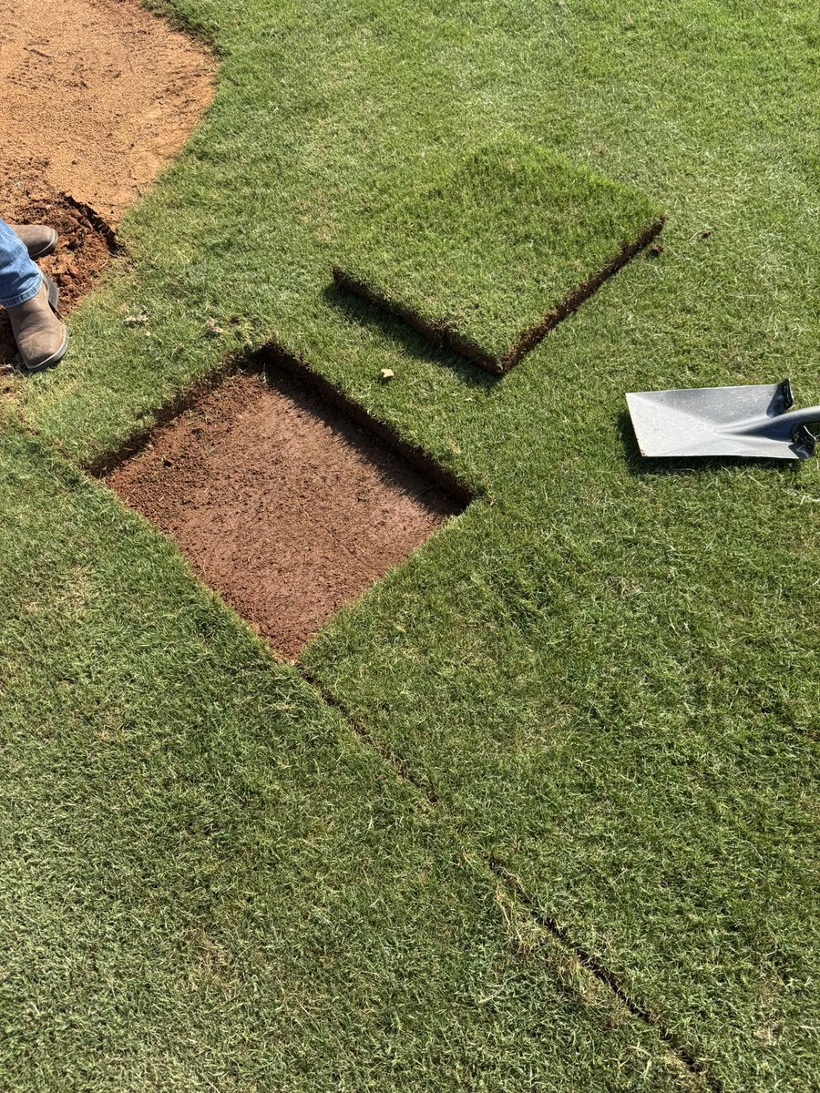jd_landers's tweet photo. Tomorrow gets things started for the sod and infield dirt fundraiser at Tiger Field.  We will be here rain or shine from 11:00-4:00 and 1:00-4:00 Sunday.  Spread the word and come see us!  Grab a free hot dog or hamburger from concessions while we get your sod ready! 
#OneTiger https://t.co/jseUw5WsSU