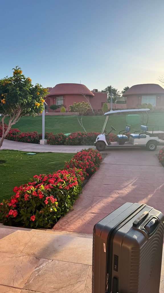 sunsshines1's tweet image. DUMPS📸 I love taking pictures of things I find amazin,nature is beautiful….