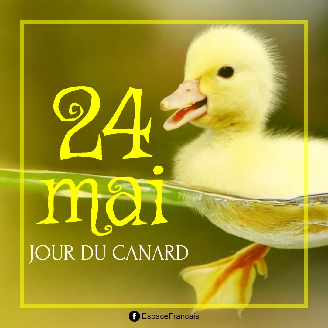 EspaceFrancais's tweet image. 🌞 Bonjour ! Nous sommes le samedi #24mai 2025.
🌿 C'est le jour du canard.
🎂 Nous fêtons les Donatien, les Maël et les Rogatien, ainsi que leurs dérivés...
Bonne journée ! 😉
#éphéméride #canard #mai #samedi
