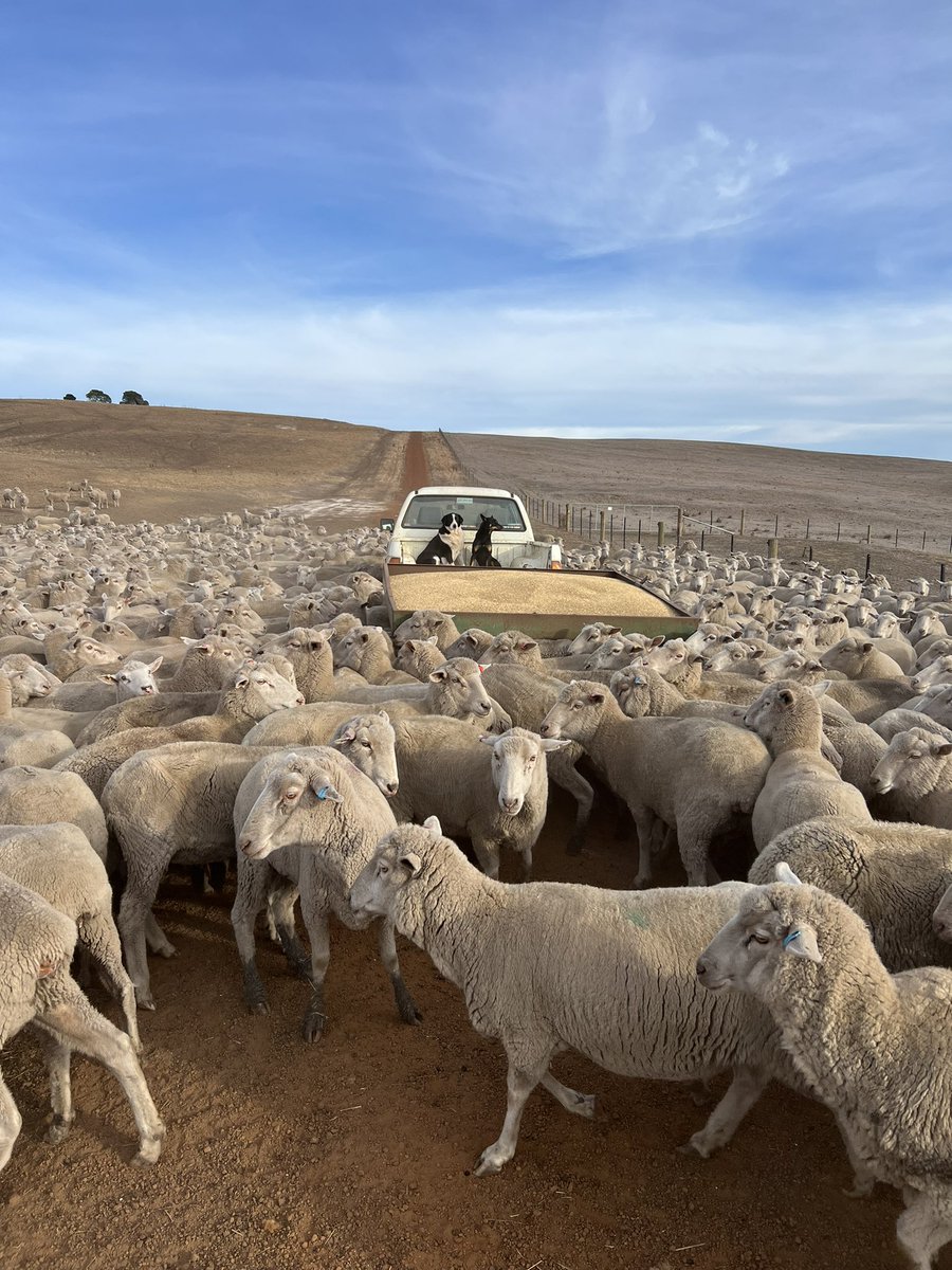 All the “gate-greeters”