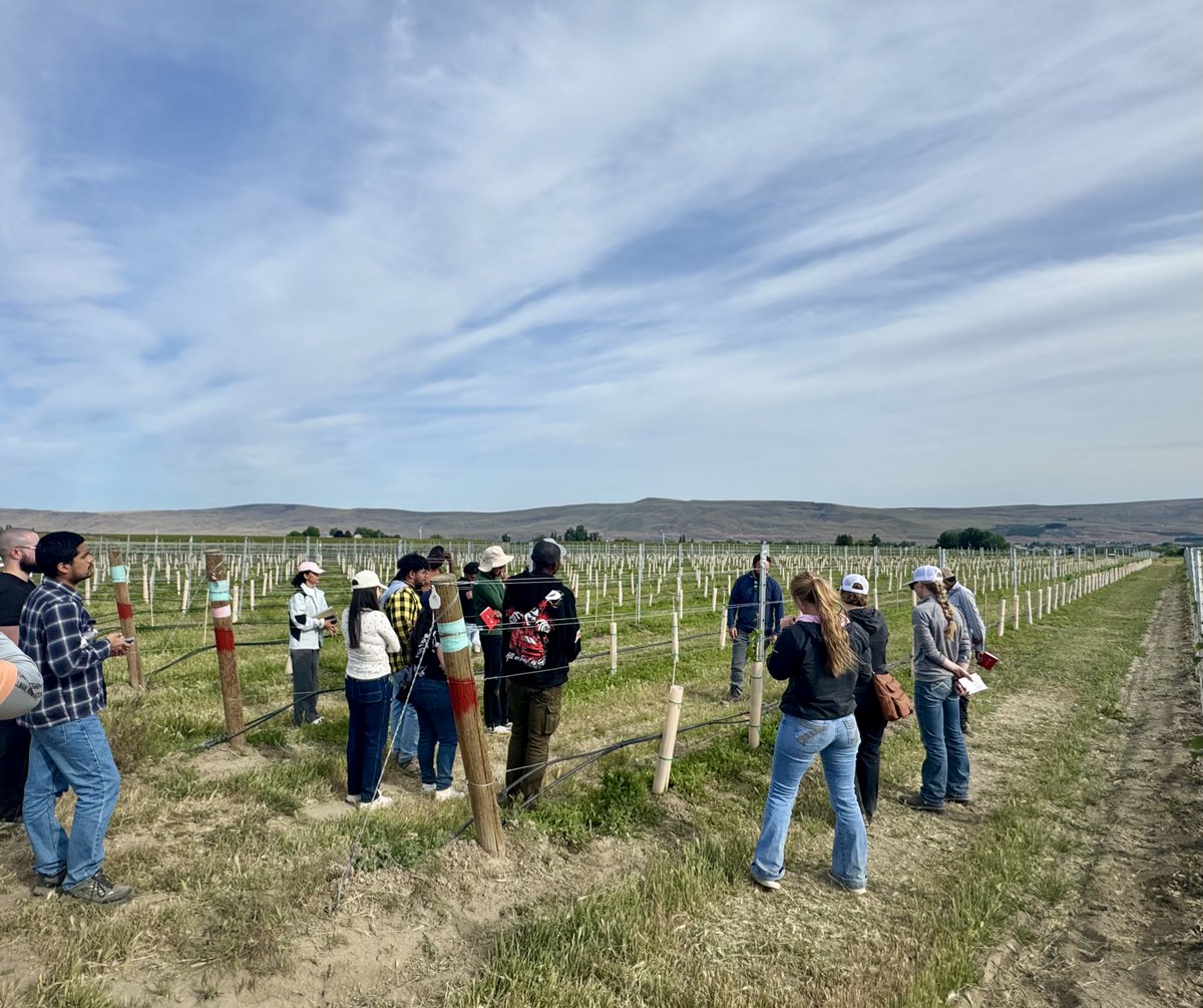 Rui (Tabby) Liu (@iarec_weeds) on Twitter photo The annual <a href="/WSUCSS/">WSU Crop and Soil Sciences</a> graduate student tour group stopped by <a href="/WSU_IAREC/">WSU Prosser IAREC</a> this week! Thanks to our USDA adjunct faculty, Drs. Alterndorf, Heineck, and Rippner, for presenting their current research to the students, including a demo of the Giddings machine👏 The annual <a href="/WSUCSS/">WSU Crop and Soil Sciences</a> graduate student tour group stopped by <a href="/WSU_IAREC/">WSU Prosser IAREC</a> this week! Thanks to our USDA adjunct faculty, Drs. Alterndorf, Heineck, and Rippner, for presenting their current research to the students, including a demo of the Giddings machine👏