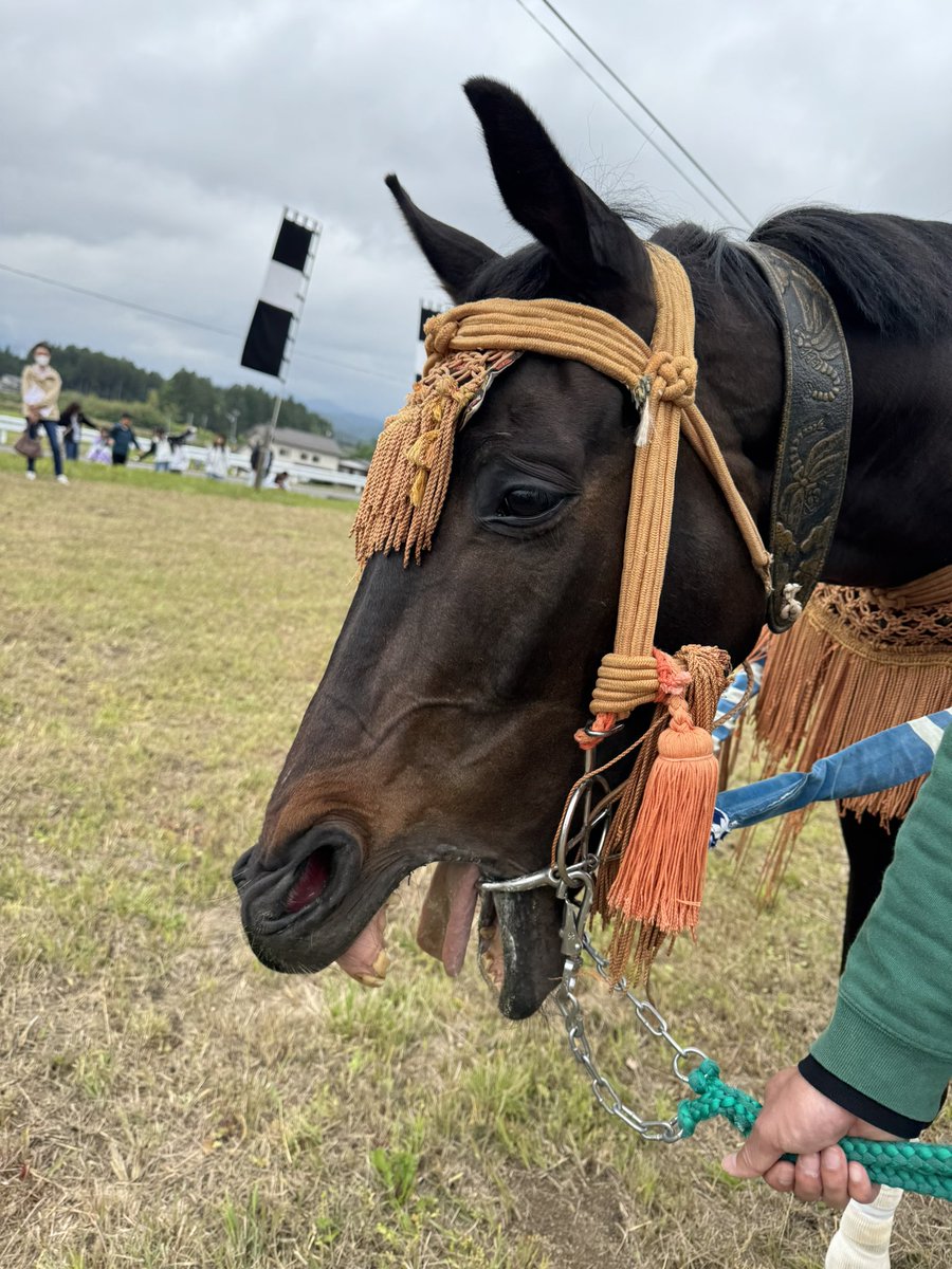 永田陣屋にて待機中
#相馬野馬追2025