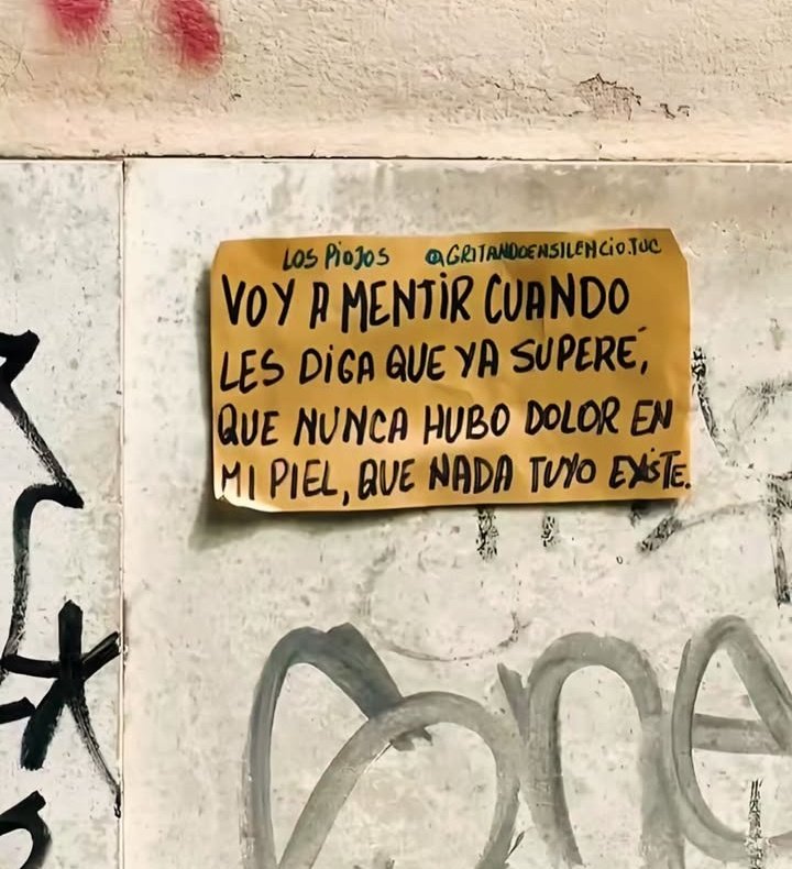 ✨