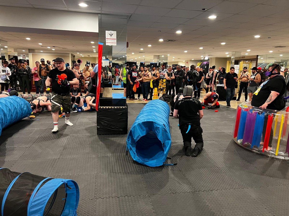 IMLchicago's tweet photo. Unleashed starts off with a room full of excited pets and critters! Squeaky toys are flying through the air and playful pups are wrestling on the mats! 

#IML2025 #IML #IML47 #HumanPets https://t.co/LuZS2QGr68
