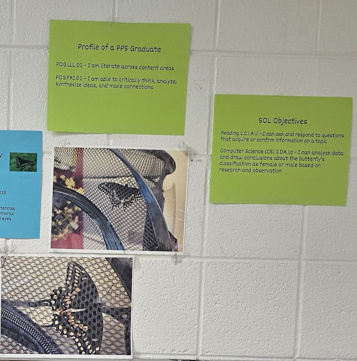 Dr. Lenette Hillian tweet media