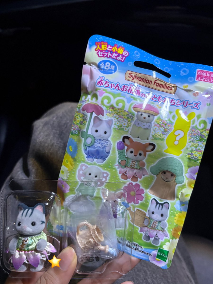 趣味 シルバニア集め