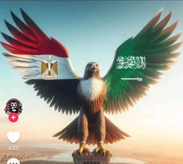 عاوزين يولعوها عديمي الوطنيه والعروبه لكن دا بعدكم يااولاد الوsخه نحن لانخضع . تسعون للتفرقه هدفكم كسر جناحي الاامه العربيه ياخونه يااولاد الkلب لكن نحن عظم في حناجركم وسم ذحاح لكم وليخساء الخاسؤن الخونه والااخونج عاشت امتنا العربيه حره قويه بقيادة جناحيها مصر والسعوديه .الرخيمي