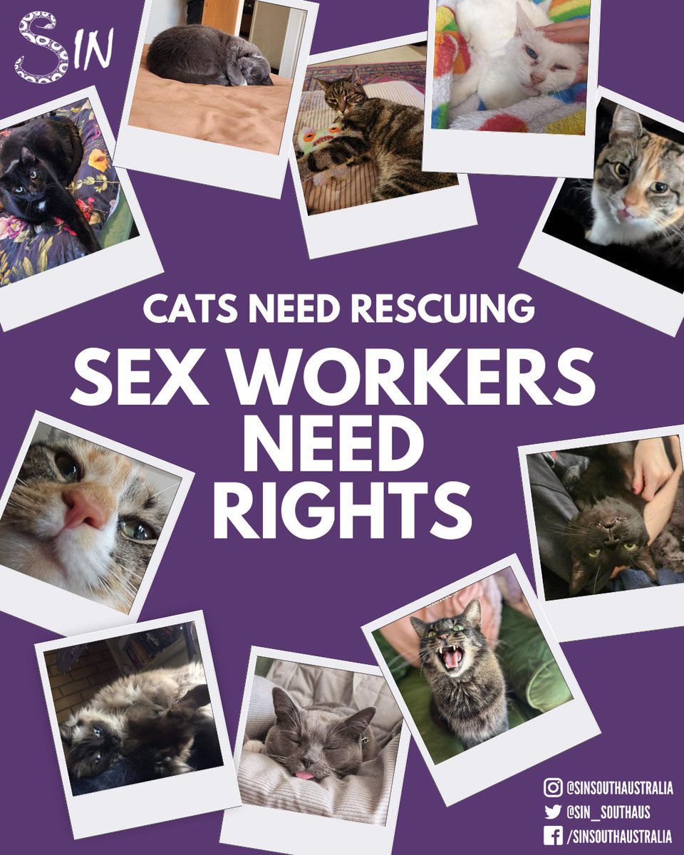 S*x W*rkers love cats (and we hope you love ours), but we don’t want to be treated like them.
Rights NOT rescue ☂️
