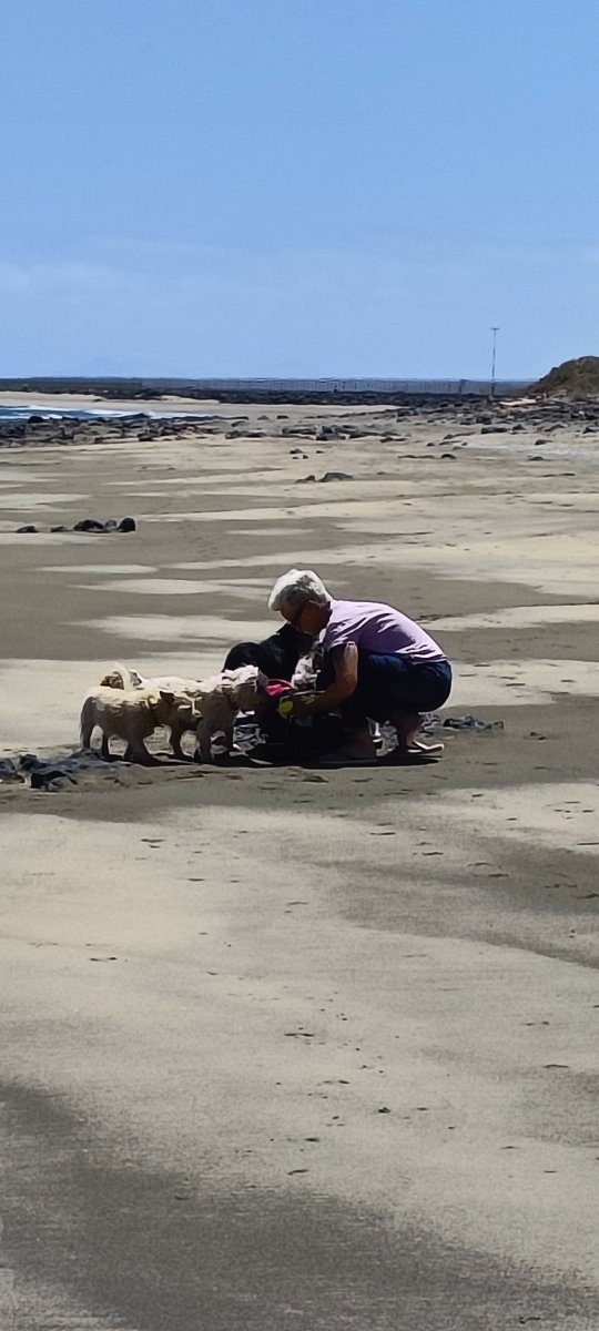My wife and our four dogs on Playa Honda.