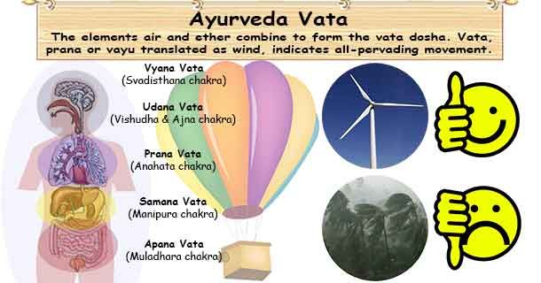 healthyojas's tweet photo. Ayurveda tri doshas - Vata Types https://t.co/Y3i2qWFo2i #Ayurveda #AyurvedicMedicine #Dosha #Vata https://t.co/Zc49lKwZOB