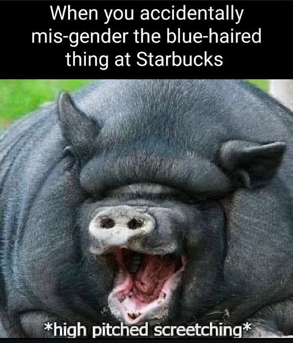 LMAO