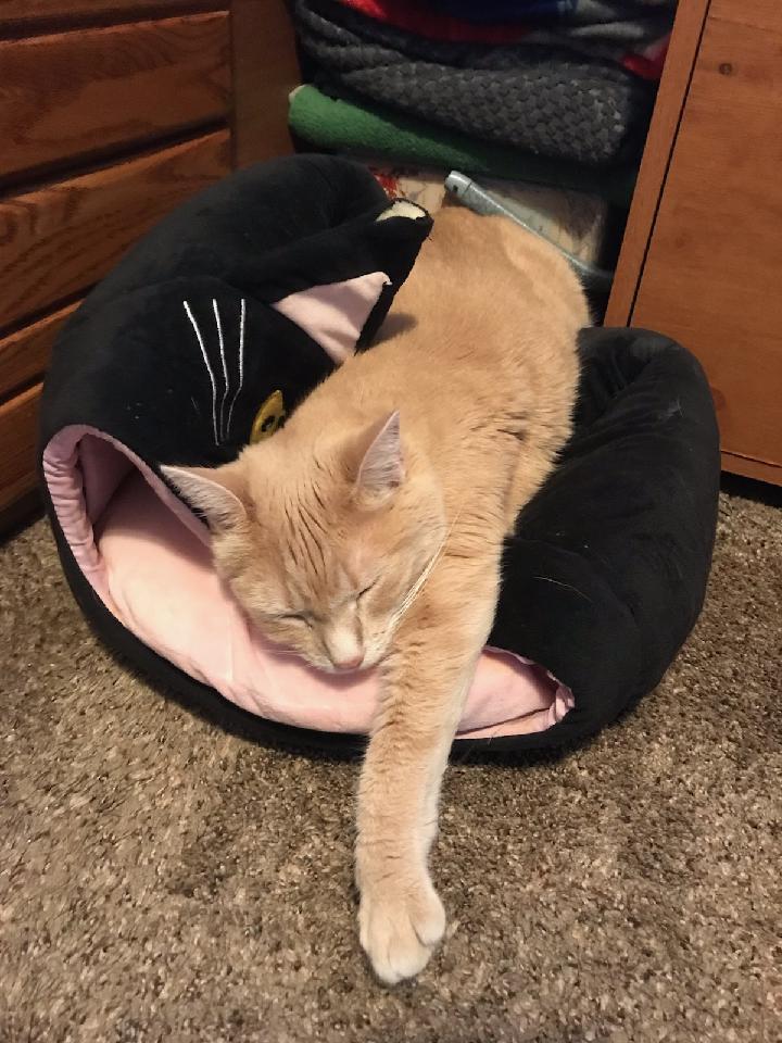 🌺Flower Fancy Pants!🌺 tweet media