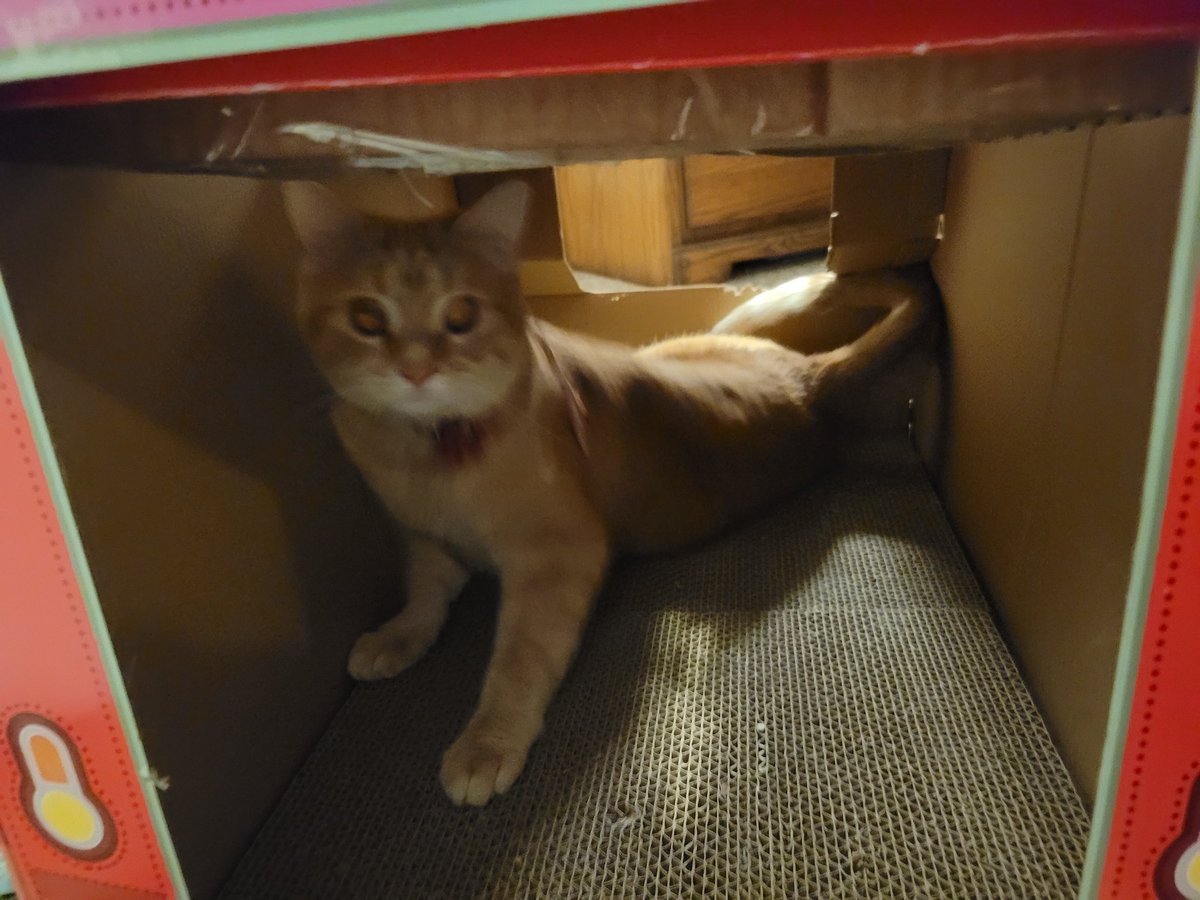 🌺Flower Fancy Pants!🌺 tweet media