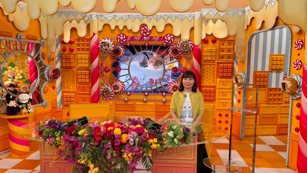 kumachie's tweet photo. 来週27日夜20：55より「マツコの知らない世界」出演します。
テーマは🐈「看板猫の世界」🐈
ぜひご覧ください！
マツコの知らない世界｜TBSテレビ
#マツコの知らない世界 https://t.co/drP3gNru5r