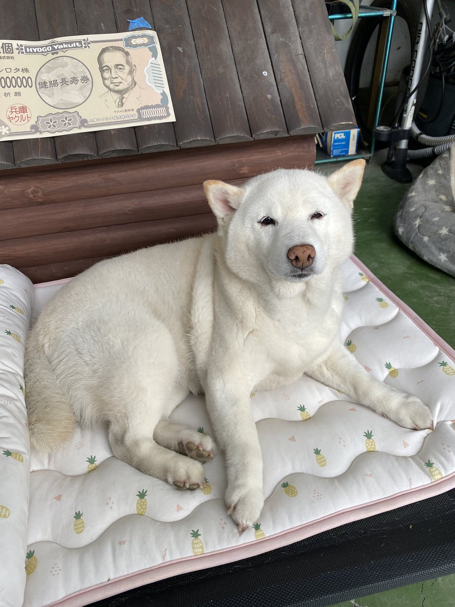 店長「あめだねぇ」