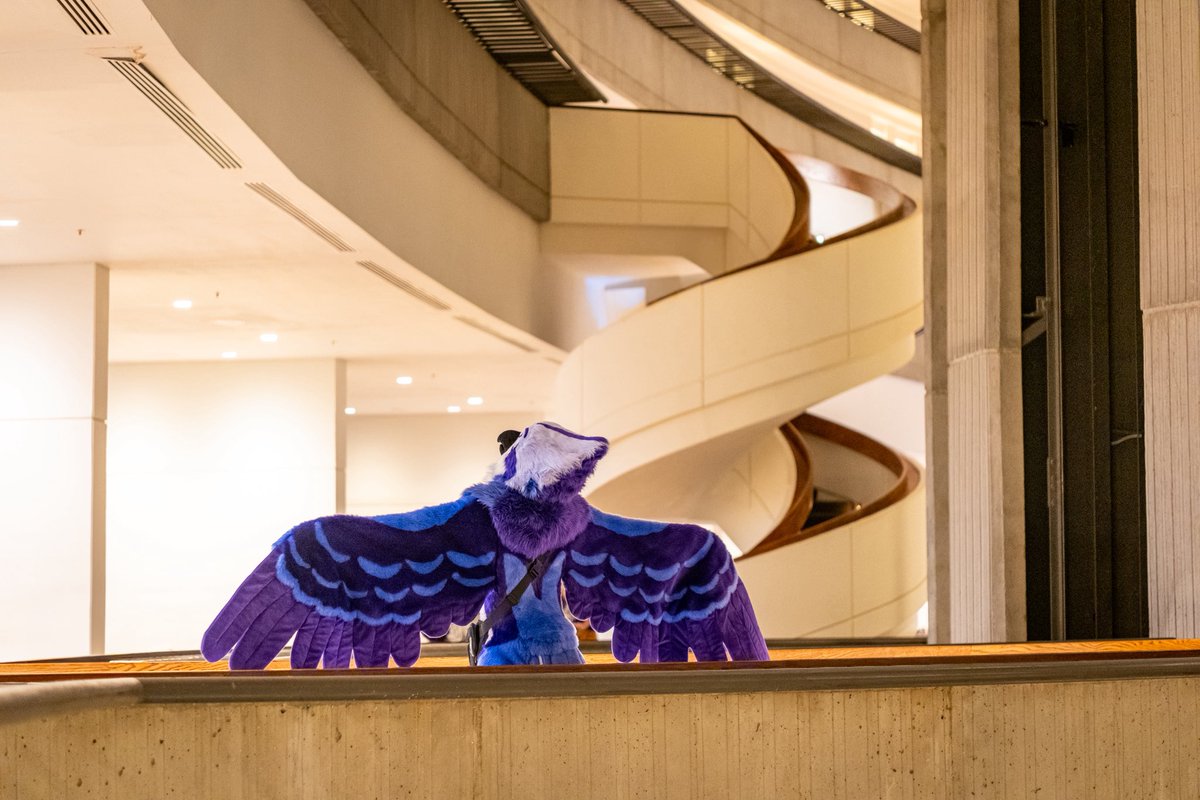 Happy #FursuitFriday!! Had to show off the wings 

📷: <a href="/VenturaOsprey/">Ventura The Osprey</a>