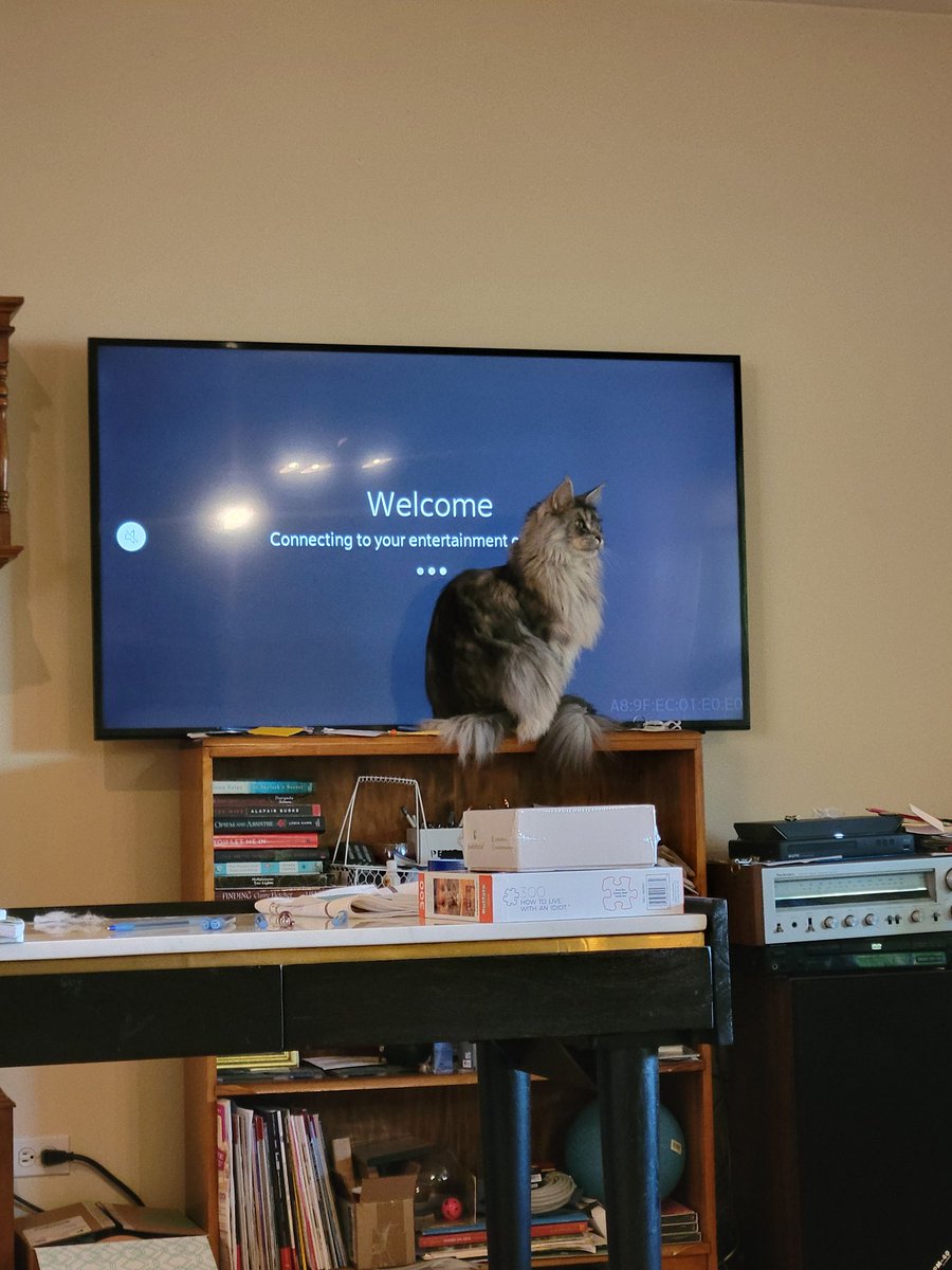 Hoping to watch #EdmontonOilers after my trip to England for #CrimeFest. It appears @Viscount_Leopold_the_Mainecoon has other ideas. 😳