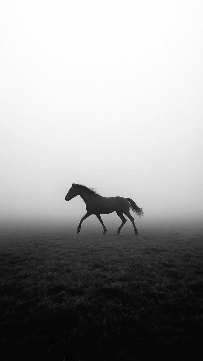 kathfreya's tweet photo. Be there, where nobody would have imagined you.
Be a #Darkhorse

🖤 https://t.co/pdNAdECVRW