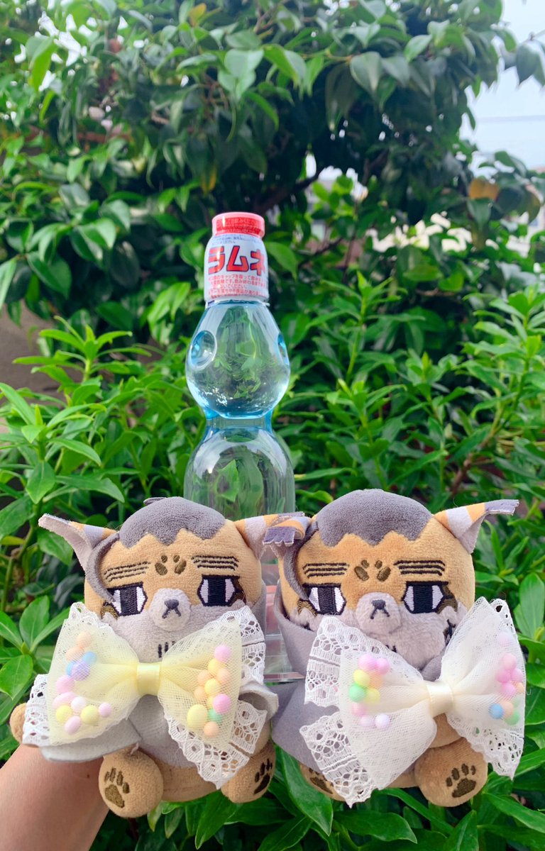 764w_v's tweet image. ぴ様(@piGKpi )のぬい用のステージ、リングお迎えしました！
次男猫の事もあり、なかなか外出できないので家の中での撮影ですが、フォゼが固定されて撮影しやすい✨

フォゼと素敵な写真撮りに行くのが楽しみです😊

素敵なお品物ありがとうございます！