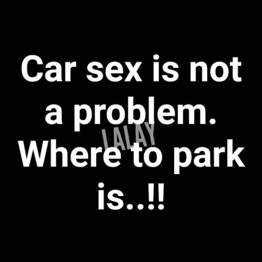 tiger-tom73 tweet media