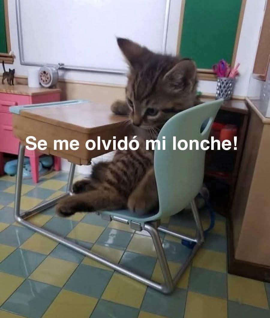 Pensamientos (@frasesimple) on Twitter photo 