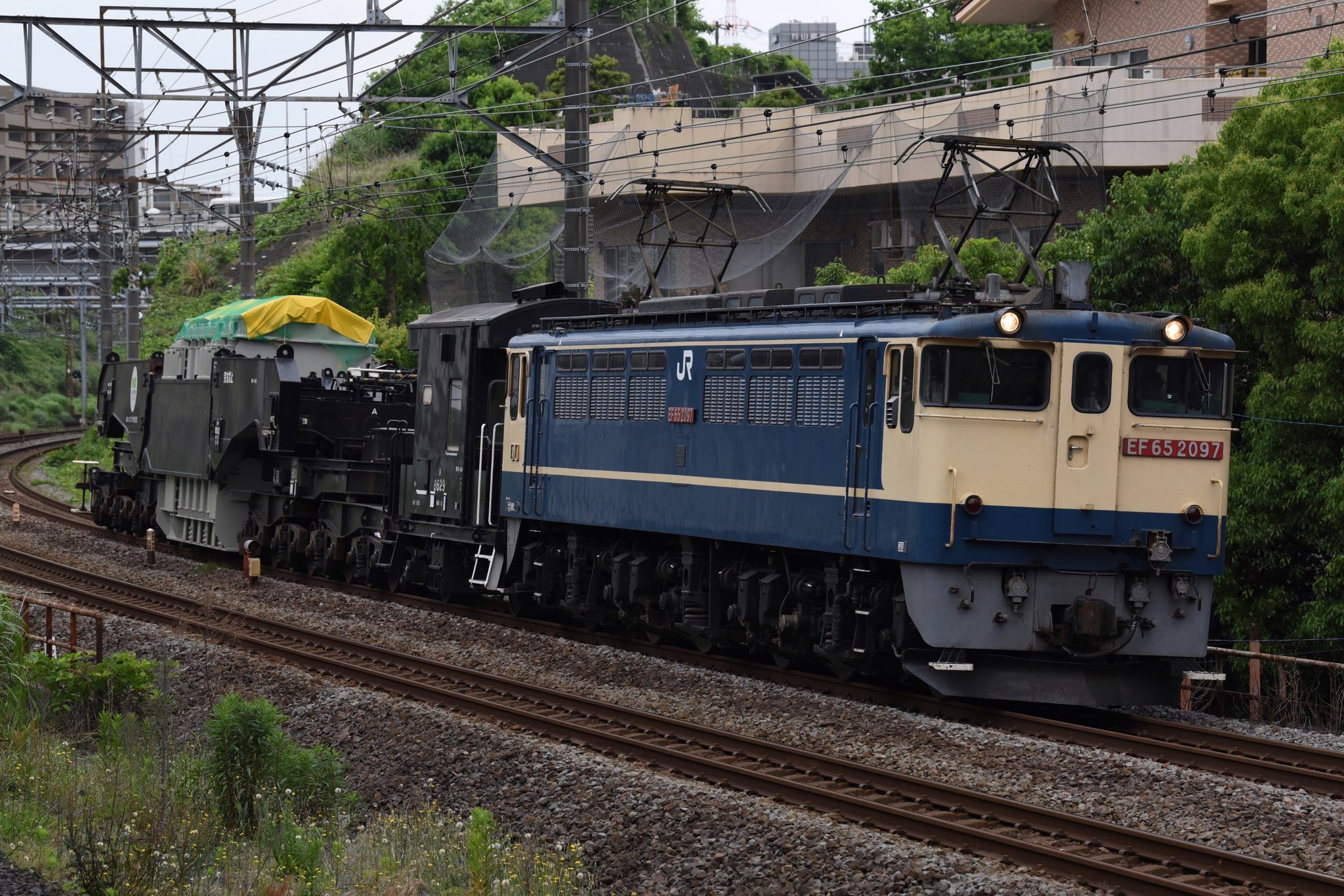 つかさ on X: 