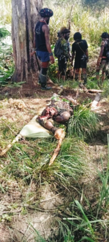 DozoMepa's tweet photo. Warga spil papua berjatuhan puluhan masyarakat korban bom aparat indonesia https://t.co/fdIXrE8VJD