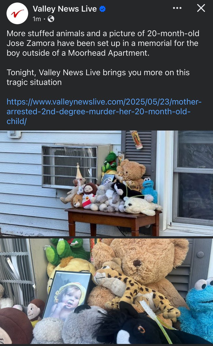 Working in news for almost a decade has numbed me to a lot of stories but this one has hit me especially hard.

Just an awful situation in Moorhead.