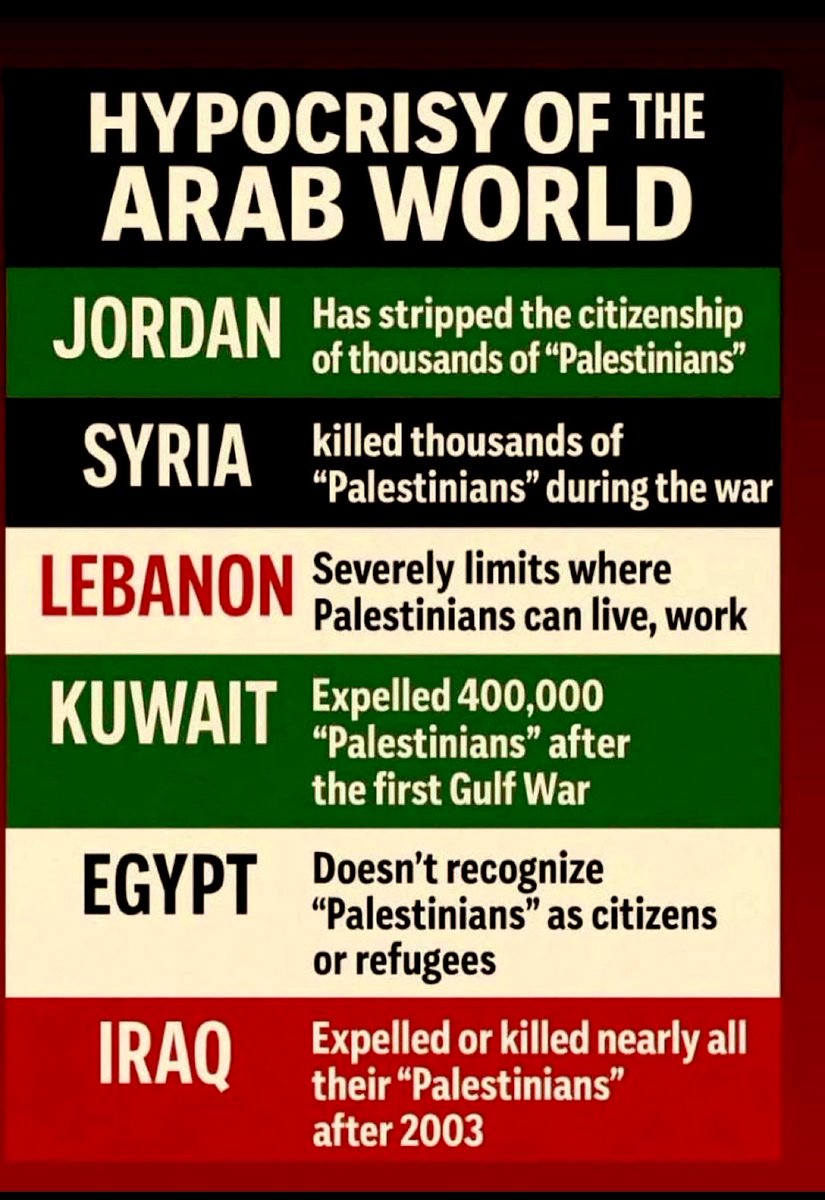 LizaRosen0000's tweet image. 