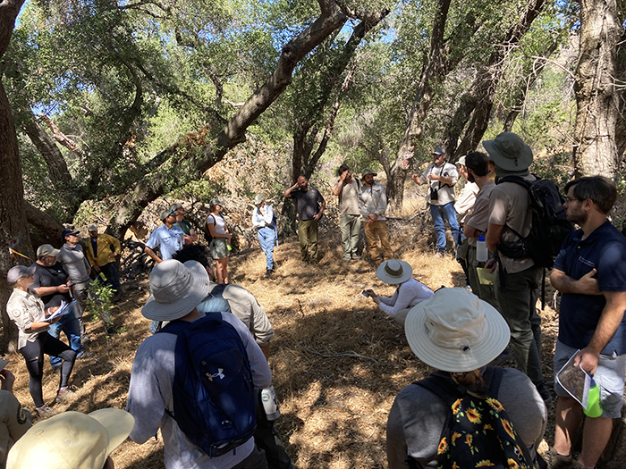 Join the 2025 GSOB Blitz and help protect San Diego’s oak woodlands. No experience needed—volunteers will survey and report signs of this destructive beetle.

June 3, 9 AM–12 PM at Dos Picos Park, San Diego

Register: bit.ly/4dCkARG
#GSOBBlitz #UCANR #ForestHealth
