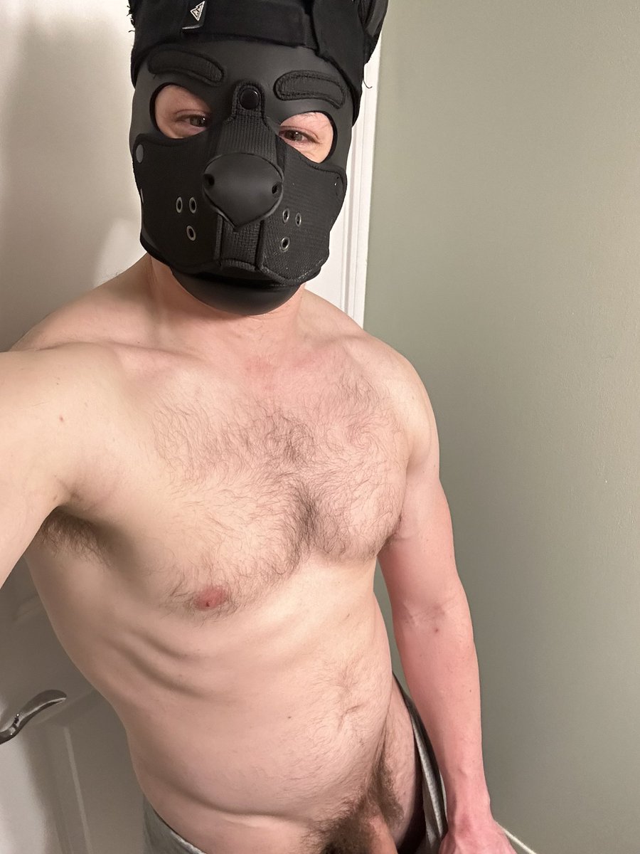 Bull Wandering tweet media