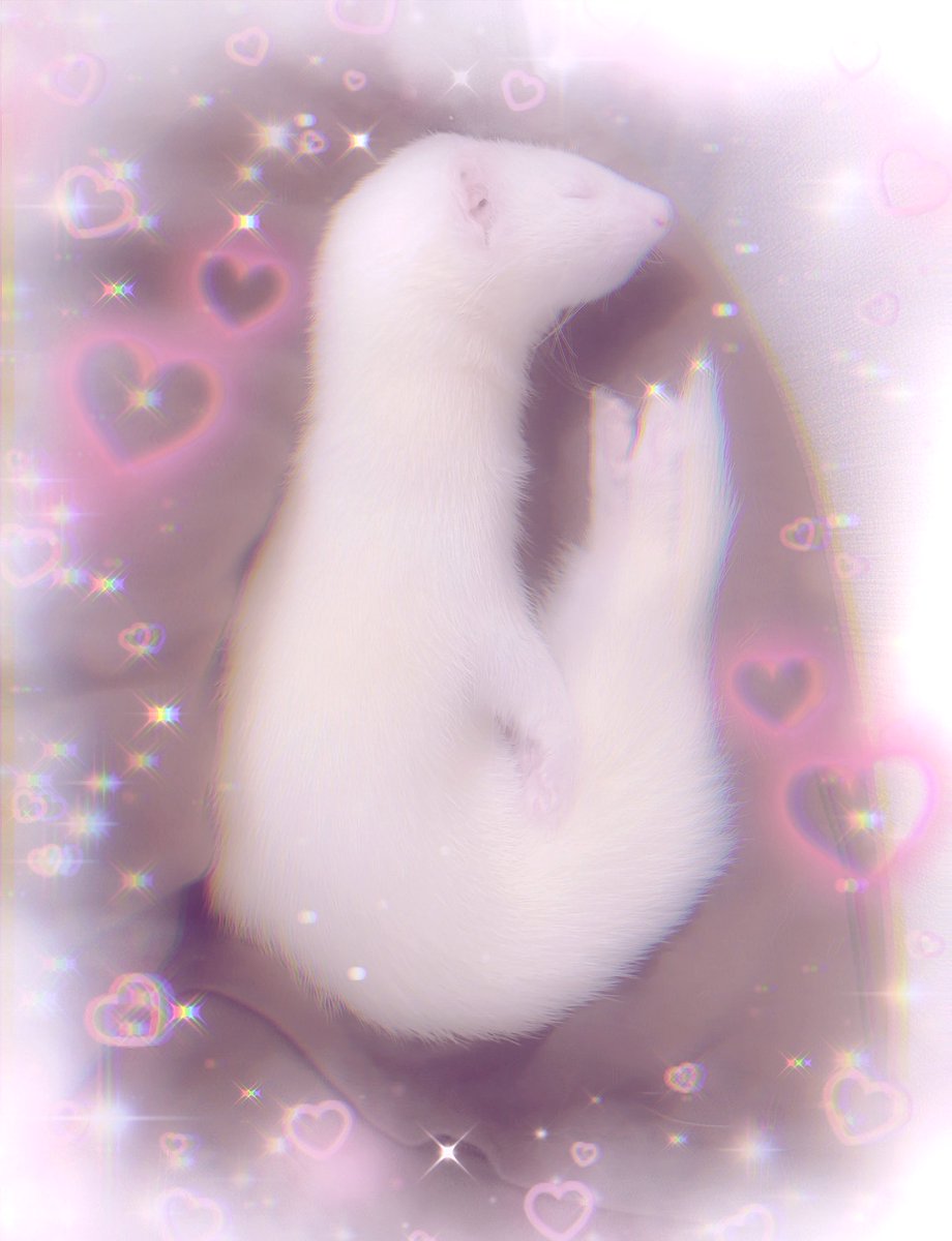 hapy ferrt friday :)